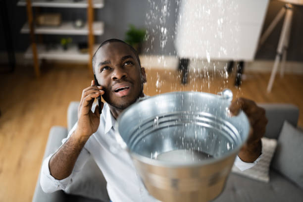 Best 24-hour water damage restoration  in Tornillo, TX