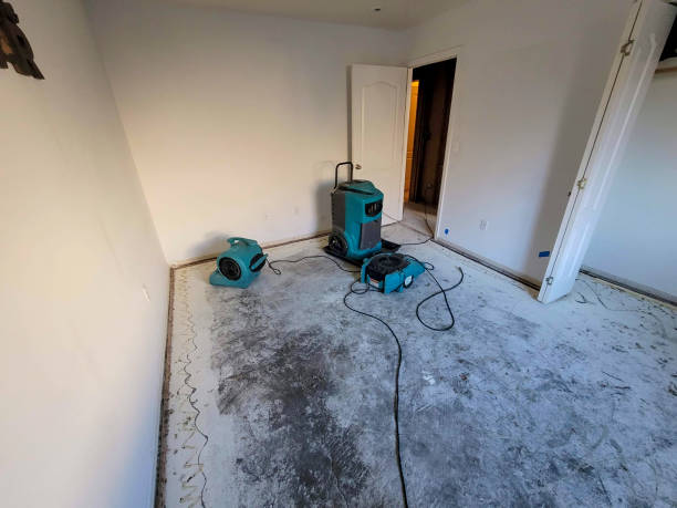 Best Water damage repair service  in Tornillo, TX