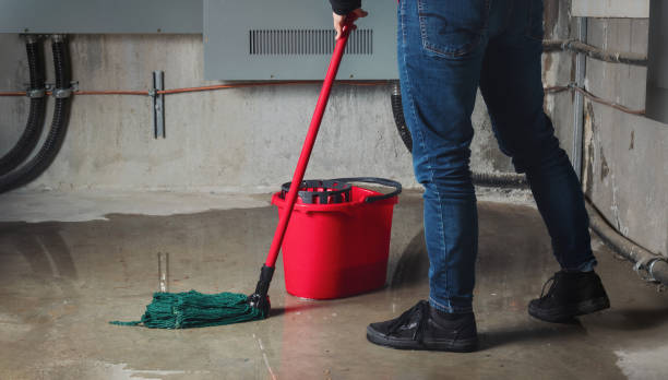 Best Water damage restoration near me  in Tornillo, TX