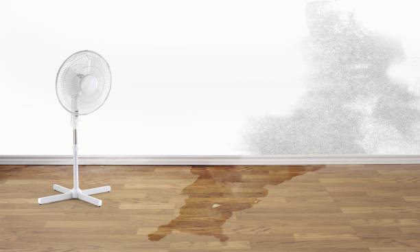 Best Water damage restoration near me  in Tornillo, TX