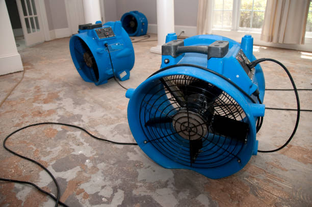 Best 24/7 water damage repair  in Tornillo, TX