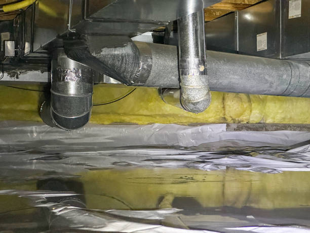 Best Ceiling water damage repair  in Tornillo, TX