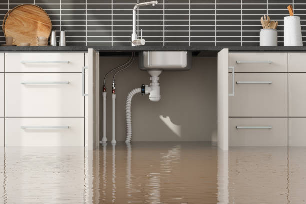 Best 24/7 water damage repair  in Tornillo, TX