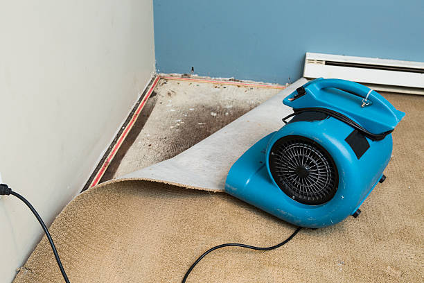 Best Carpet water damage restoration  in Tornillo, TX